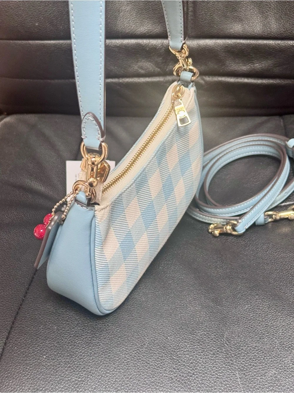 NWT Coach Teri Mini Crossbody Bag With Gingham Print And Charm CEN05 Blue Multi - Picture 6 of 15